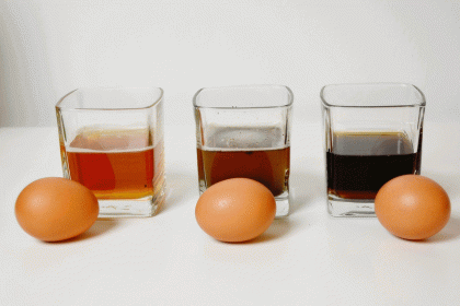 Egg Experiments: 7 Fun Science Activities to Try with Kids!